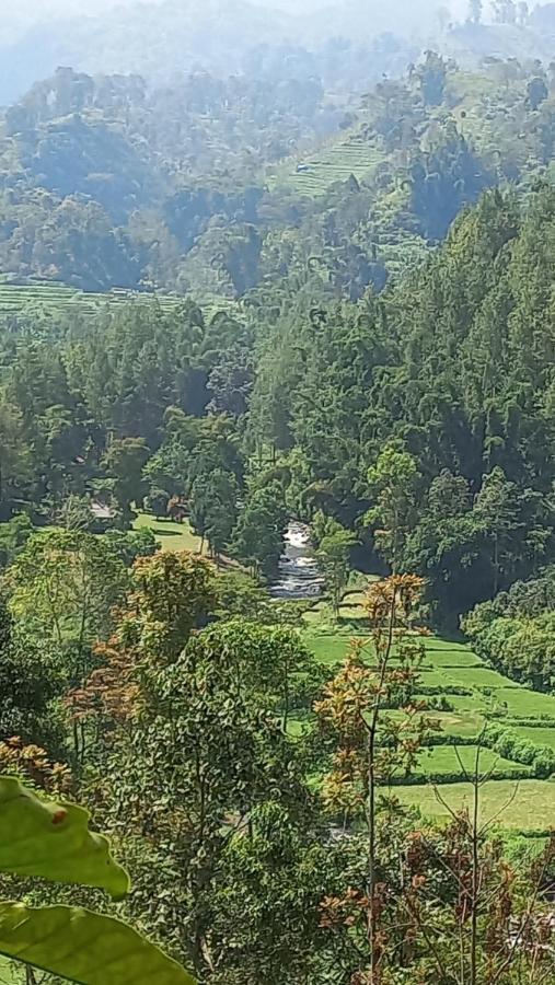 Mountain Ecolodge Malang Eksteriør bilde
